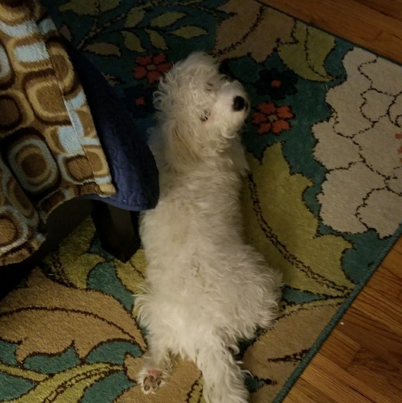 Meet your Posher, Stephanie - Picture 1 of 1